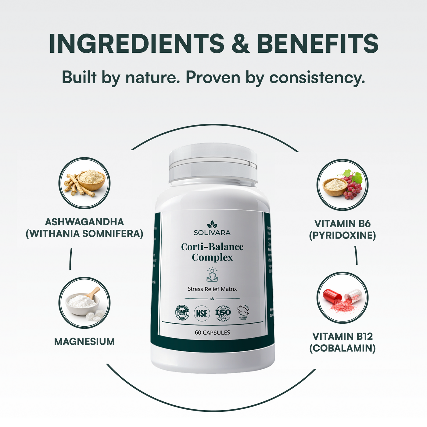Corti-Balance Complex