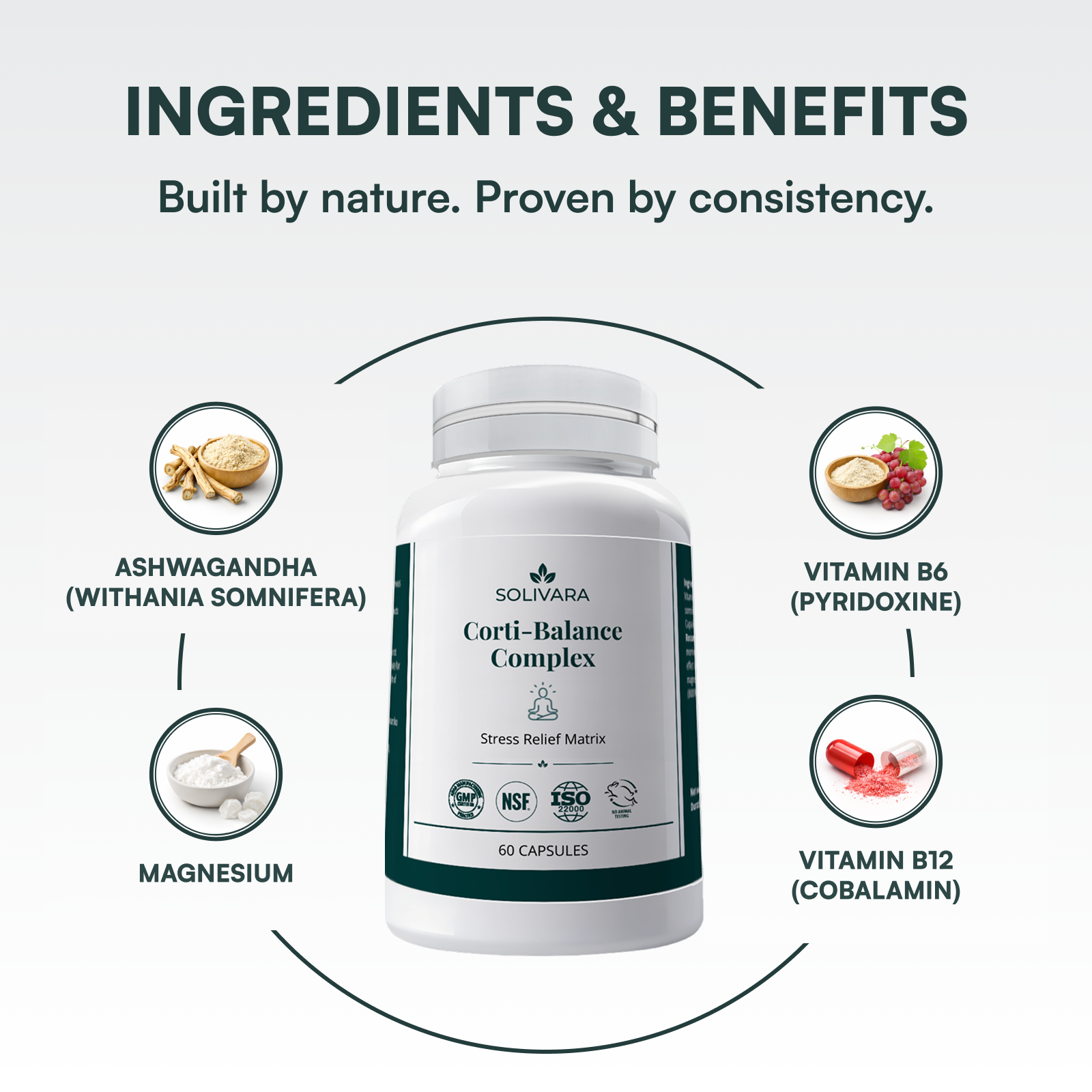Corti-Balance Complex